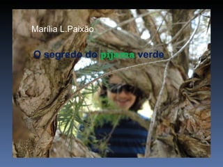 Marília L.Paixão O segredo do  pijama  verde 