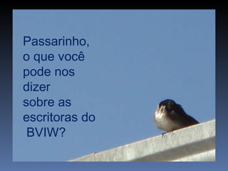Passarinho,  o que você pode nos dizer  sobre as escritoras do BVIW? 