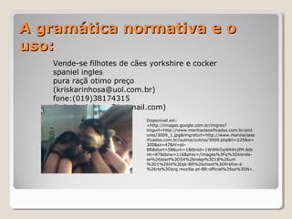 A gramática normativa e oA gramática normativa e o
uso:uso:
Vende-se filhotes de cães yorkshire e cocker
spaniel ingles
pura raçã otimo preço
(kriskarinhosa@uol.com.br)
fone:(019)38174315
(kris_karinhosa@hotmail.com)
Disponível em:
<http://images.google.com.br/imgres?
imgurl=http://www.mariliaclassificados.com.br/pict
ures/3009_1.jpg&imgrefurl=http://www.mariliaclass
ificados.com.br/outros/outros/3009.php&h=225&w=
300&sz=47&hl=pt-
BR&start=58&um=1&tbnid=1WWlKGqWKKczfM:&tb
nh=87&tbnw=116&prev=/images%3Fq%3DVende-
se%26start%3D54%26ndsp%3D18%26um
%3D1%26hl%3Dpt-BR%26client%3Dfirefox-a
%26rls%3Dorg.mozilla:pt-BR:official%26sa%3DN>.
 