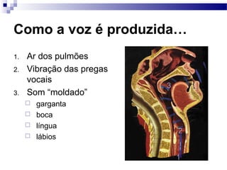 Como a voz é produzida…
1. Ar dos pulmões
2. Vibração das pregas
vocais
3. Som “moldado”
 garganta
 boca
 língua
 lábios
1
2
3
 