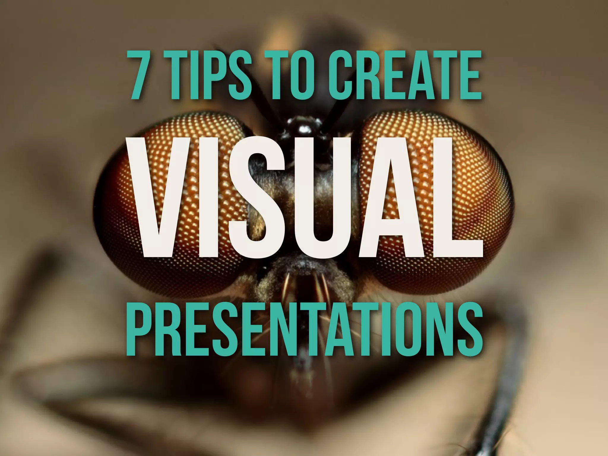 VISUAL
PRESENTATIONS
7 tips to create
 