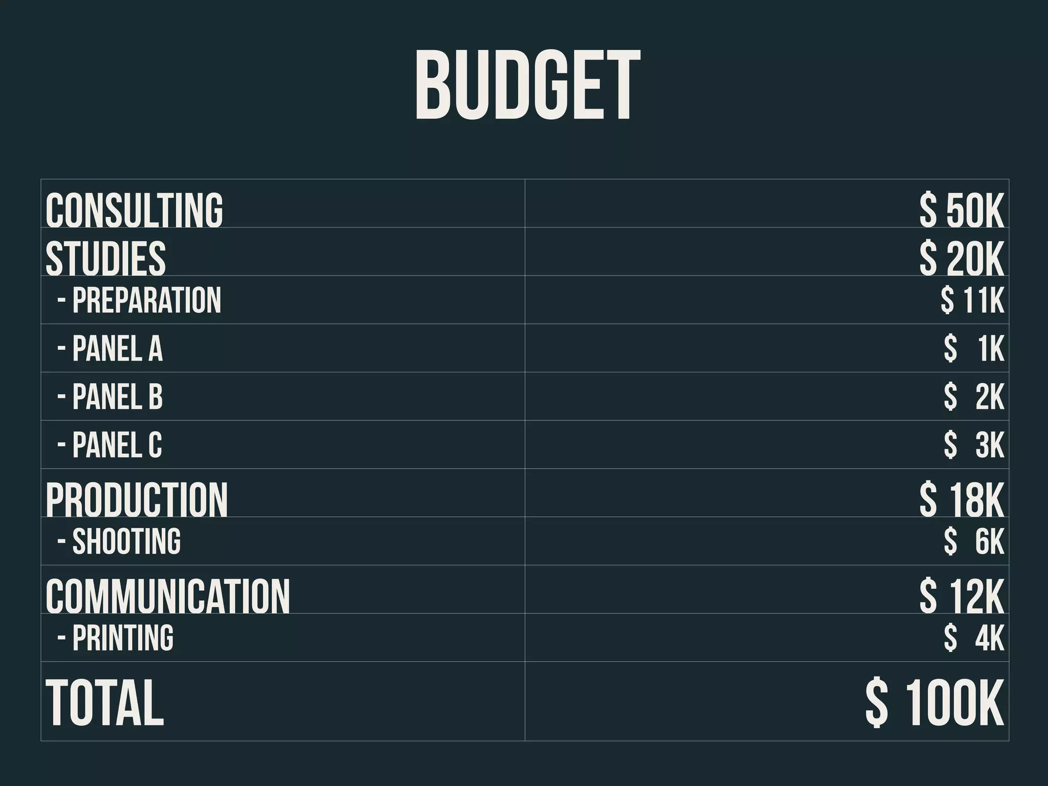 Consulting $ 50k
Studies $ 20k
- Preparation $ 11k
- Panel A $ 1k
- Panel B $ 2k
- Panel C $ 3k
Production $ 18k
- Shooting $ 6k
Communication $ 12k
- Printing $ 4k
TOTAL $ 100K
BUDGET
 
