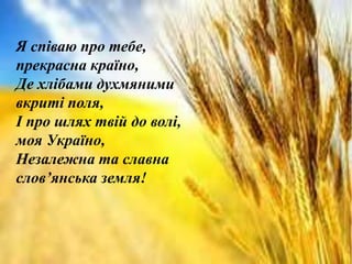 Я співаю про тебе, 
прекрасна країно, 
Де хлібами духмяними 
вкриті поля, 
І про шлях твій до волі, 
моя Україно, 
Незалежна та славна 
слов’янська земля! 
 