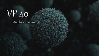 VP 40
‘An Ebola virus protein’
 