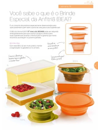 É um conjunto de produtos especialmente desenvolvidos para
você presentear quem abre a porta de casa para suas Experiências!
O BEA do Vitrine 6.2017 (3º nível cód. 802408) pode ser adquirido
antecipadamente para que você já comece a levá-lo para
suas Experiências durante o Vitrine 5.2017 e garanta que novos
encontros aconteçam no próximo período.
1,5L
950ml
700ml
400ml
1,5L
2,5L
6L 27
semana 18
Você sabe o que é o Brinde
Especial da Anfitriã (BEA)?
BEA
BEA Mini Max
Com este BEA, vai ser muito prático manter
a organização na geladeira e no armário.
Vocêpodeter
váriostamanhosem
umúnicoproduto!
Leveparaondequiser!
Alinhaéportátil
Conservaoalimentopor
bastantetemponageladeira
eomantémfresco
 