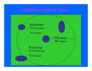 Amphibian Habitat Needs


    Salamanders
    12.6 hectares
    31.0 acres
                    1000 meters
                     200 meters

   Wood Frogs
   314.0 hectares
   775.9 acres
 