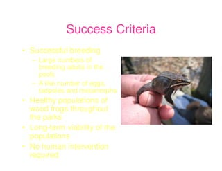 Success Criteria
• Successful breeding
   – Large numbers of
     breeding adults in the
     pools
   – A like number of eggs,
     tadpoles and metamorphs
• Healthy populations of
  wood frogs throughout
  the parks
• Long-term viability of the
  populations
• No human intervention
  required
 