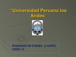 “ Universidad Peruana los Andes ” Anatomía de Cabeza  y cuello 2009- II 