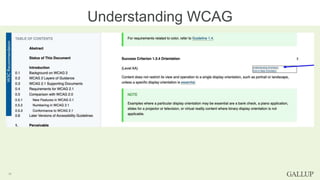 Understanding WCAG
17
 