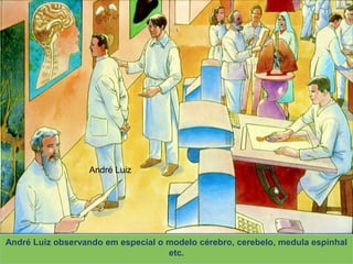 André Luiz
XAVIER, Francisco Cândido.XAVIER, Francisco Cândido. Missionários da luz. Pelo Espírito André Luiz. ed. esp. Rio de Janeiro:Missionários da luz. Pelo Espírito André Luiz. ed. esp. Rio de Janeiro:
FEB, 2003. Primeira Parte: Cap. 12. p. 167-193 (Desenhos de Rodval Matias: Estúdio Cena &FEB, 2003. Primeira Parte: Cap. 12. p. 167-193 (Desenhos de Rodval Matias: Estúdio Cena &
Ação. Produção S. E. Mãos Unidas)Ação. Produção S. E. Mãos Unidas)
André Luiz observando em especial o modelo cérebro, cerebelo, medula espinhal
etc.
 