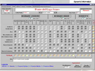 Dynamic Information 