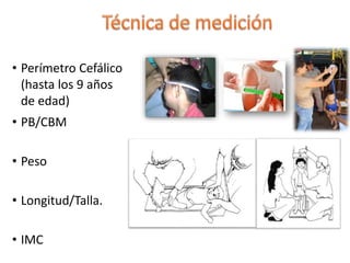 • Perímetro Cefálico
(hasta los 9 años
de edad)
• PB/CBM
• Peso
• Longitud/Talla.
• IMC
 