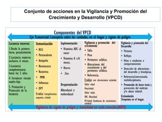 Conjunto de acciones en la Vigilancia y Promoción del
Crecimiento y Desarrollo (VPCD)
 
