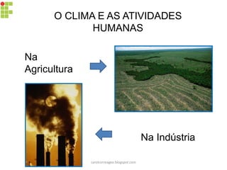 O CLIMA E AS ATIVIDADES
HUMANAS
Na
Agricultura
Na Indústria
carolcorreageo.blogspot.com
 