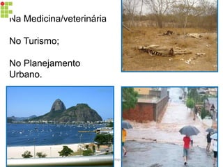 Na Medicina/veterinária
No Turismo;
No Planejamento
Urbano.
carolcorreageo.blogspot.com
 