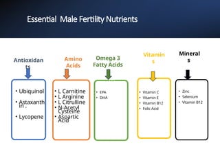 Role of Antioxidants in Male Infertility | PPTX