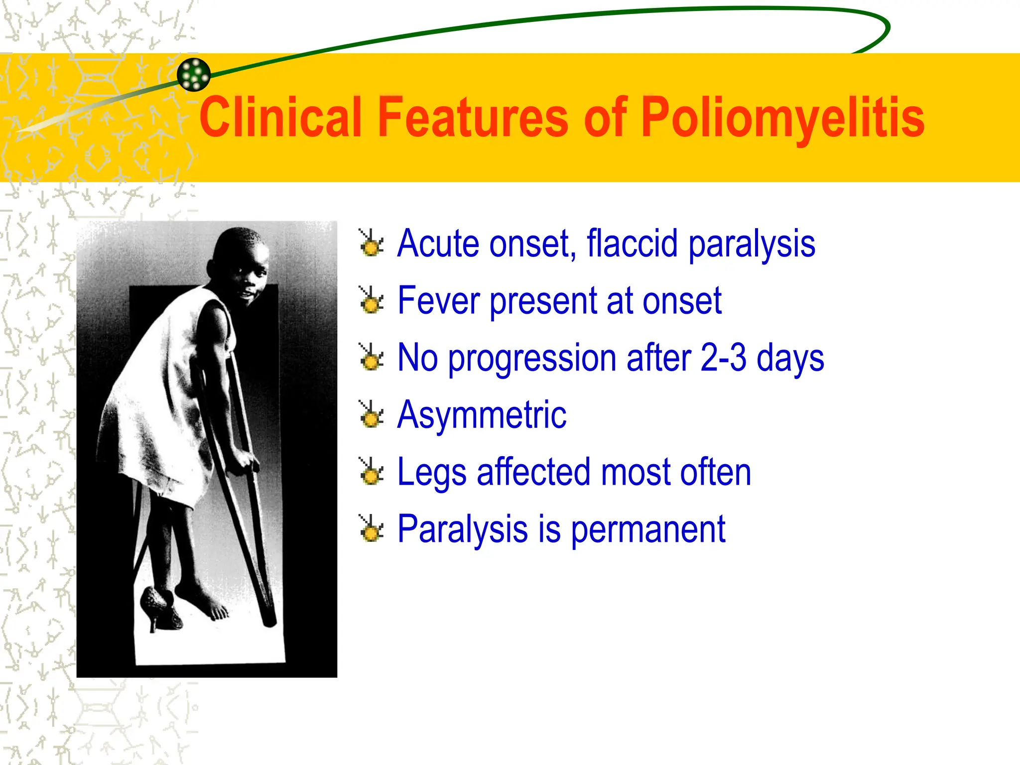 Clinical Features of Poliomyelitis
Acute onset, flaccid paralysis
Fever present at onset
No progression after 2-3 days
Asymmetric
Legs affected most often
Paralysis is permanent
 