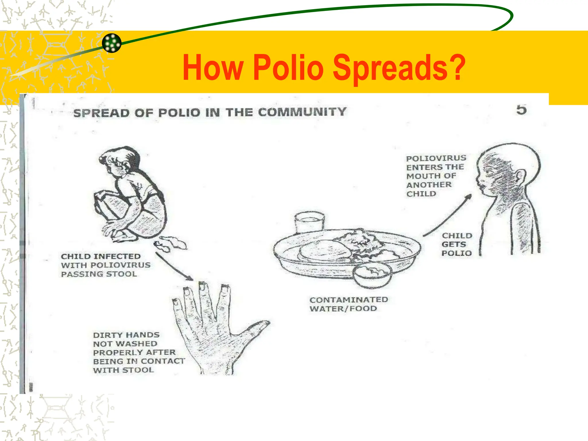 How Polio Spreads?
 