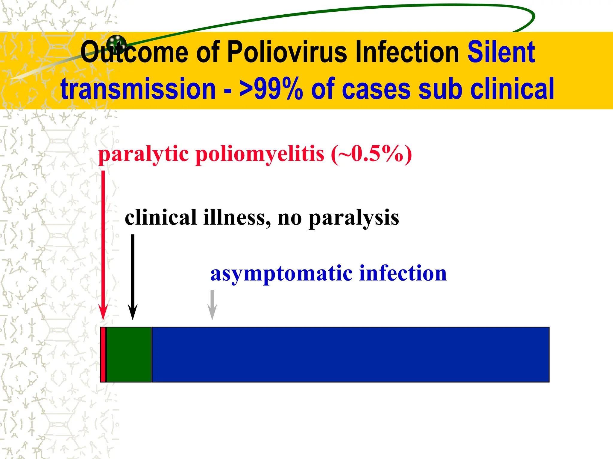 Outcome of Poliovirus Infection Silent
transmission - >99% of cases sub clinical
asymptomatic infection
clinical illness, no paralysis
paralytic poliomyelitis (~0.5%)
 