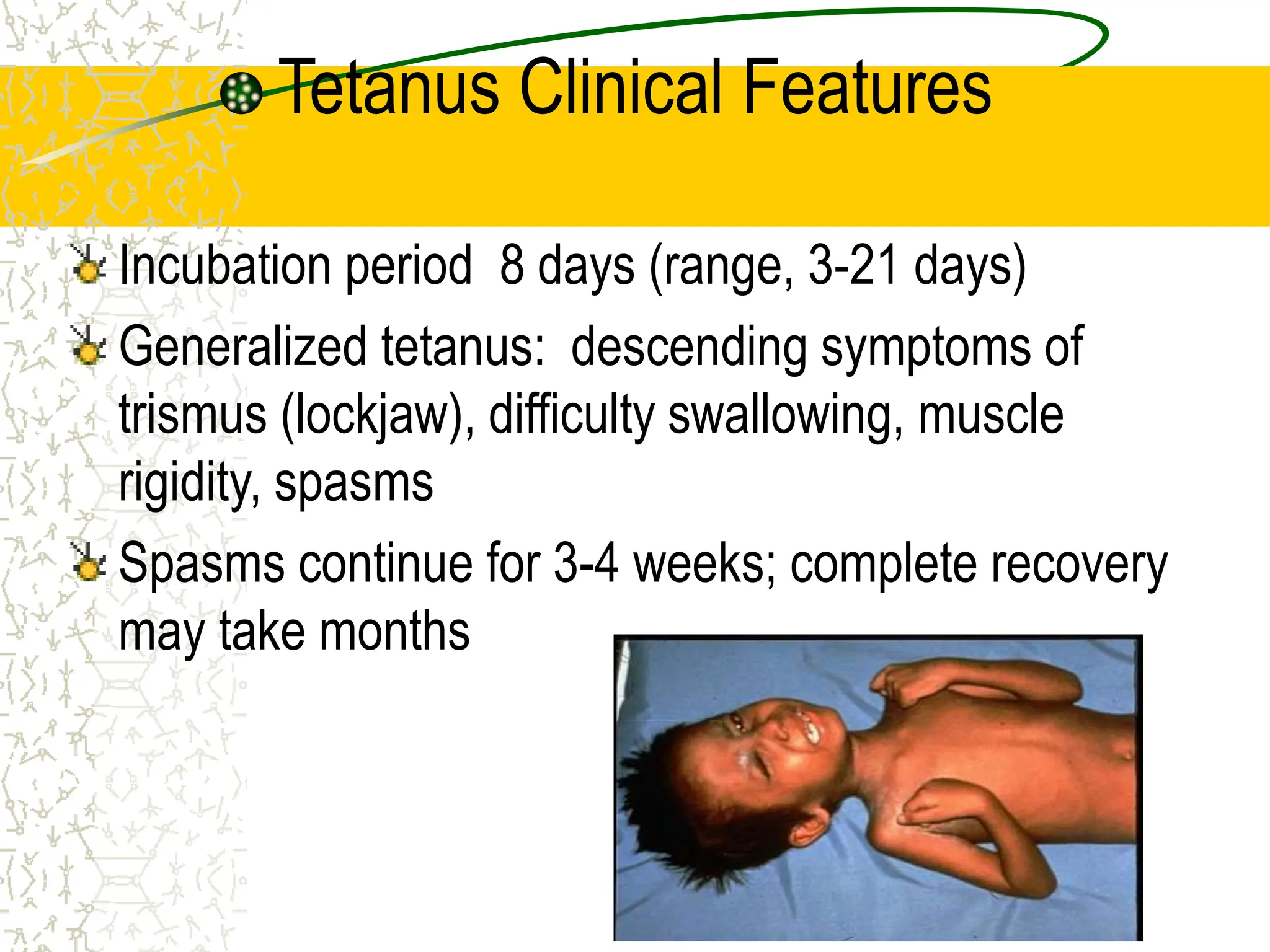 Tetanus Clinical Features
Incubation period 8 days (range, 3-21 days)
Generalized tetanus: descending symptoms of
trismus (lockjaw), difficulty swallowing, muscle
rigidity, spasms
Spasms continue for 3-4 weeks; complete recovery
may take months
 
