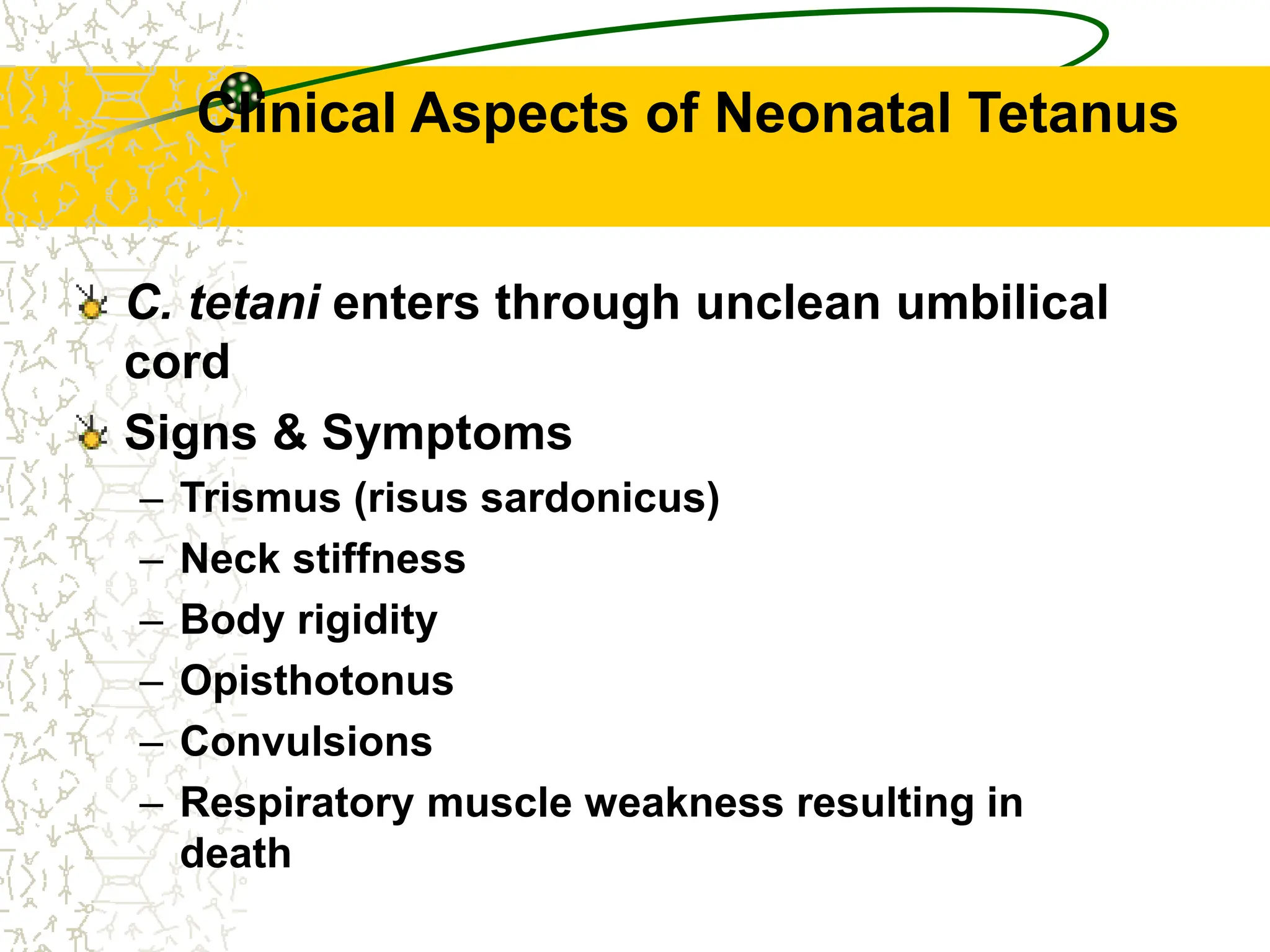 Clinical Aspects of Neonatal Tetanus
C. tetani enters through unclean umbilical
cord
Signs & Symptoms
– Trismus (risus sardonicus)
– Neck stiffness
– Body rigidity
– Opisthotonus
– Convulsions
– Respiratory muscle weakness resulting in
death
 