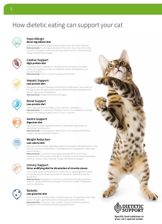 Natural Dog Food Low In Phosphorus Natural Dog Food Low In Phosphorus