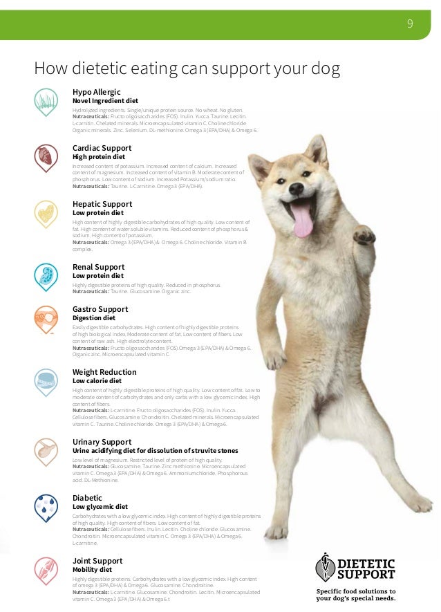 Hepatic Support Dog Food Hepatic Support Dog Food