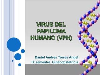 Daniel Andres Torres Angel
IX semestre. Ginecobstetricia
 