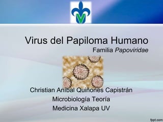 Virus del Papiloma Humano
Familia Papoviridae

Christian Aníbal Quiñones Capistrán
Microbiología Teoría
Medicina Xalapa UV

 