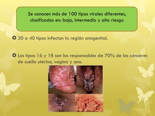 30 a 40 tipos infectan la región anogenital.
 Los tipos 16 y 18 son los responsables de 70% de los cánceres
de cuello uterino, vagina y ano.
Se conocen más de 100 tipos virales diferentes,
clasificados en: bajo, intermedio y alto riesgo
 