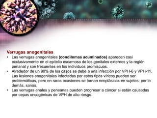 Verrugas anogenitales
• Las verrugas anogenitales (condilomas acuminados) aparecen casi
exclusivamente en el epitelio escamoso de los genitales externos y la región
perianal y son frecuentes en los individuos promiscuos.
• Alrededor de un 90% de los casos se debe a una infección por VPH-6 y VPH-11.
Las lesiones anogenitales infectadas por estos tipos víricos pueden ser
problemáticas, pero en raras ocasiones se tornan neoplásicas en sujetos, por lo
demás, sanos.
• Las verrugas anales y peneanas pueden progresar a cáncer si están causadas
por cepas oncogénicas de VPH de alto riesgo.
 
