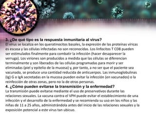 3. ¿De qué tipo es la respuesta inmunitaria al virus?
El virus se localiza en los queratinocitos basales, la expresión de las proteínas víricas
es escasa y las células infectadas no son reconocidas. Los linfocitos T CD8 pueden
ser estimulados finalmente para combatir la infección (hacer desaparecer la
verruga). Los viriones son producidos a medida que las células se diferencian
terminalmente y son liberados de las células programadas para morir y ser
eliminadas (piel y epitelio de la mucosa) y, por tanto, a no ser que el paciente sea
vacunado, se produce una cantidad reducida de anticuerpos. Las inmunoglobulinas
(Ig) G o IgA secretadas en la mucosa pueden evitar la infección (en vacunados) o la
reinfección de otras zonas, pero no la de otras personas.
4. ¿Cómo pueden evitarse la transmisión y la enfermedad?
La transmisión puede evitarse mediante el uso de preservativos durante las
relaciones sexuales. La vacuna contra el VPH puede evitar el establecimiento de una
infección y el desarrollo de la enfermedad y se recomienda su uso en los niños y las
niñas de 11 a 25 años, administrándola antes del inicio de las relaciones sexuales y la
exposición potencial a este virus tan ubicuo.
 