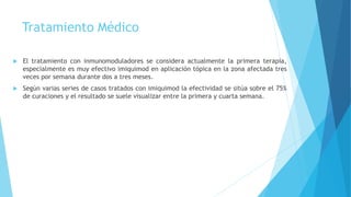 Tratamiento Médico
 El tratamiento con inmunomoduladores se considera actualmente la primera terapia,
especialmente es muy efectivo imiquimod en aplicación tópica en la zona afectada tres
veces por semana durante dos a tres meses.
 Según varias series de casos tratados con imiquimod la efectividad se sitúa sobre el 75%
de curaciones y el resultado se suele visualizar entre la primera y cuarta semana.
 