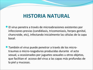 HISTORIA NATURAL
El virus penetra a través de microabrasiones existentes por
infecciones previas (candidiasis, tricomoniasis, herpes genital,
chancroide, etc), infectando inicialmente las células de la capa
basal.
También el virus puede penetrar a través de los micro­
traumas o micro­rasgaduras producidas durante el acto
sexual, u ocasionados por juguetes sexuales u otros objetos,
que facilitan el acceso del virus a las capas más profundas de
la piel y mucosas.
 