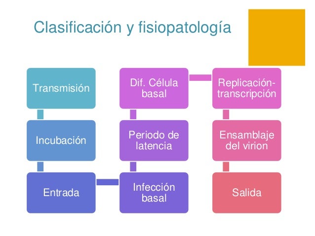 Fisiopatologia Del Virus Del Papiloma Humano www.slideshare.net