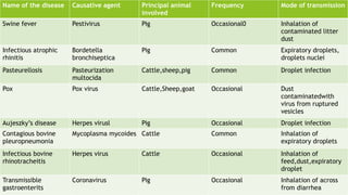 Name of the disease Causative agent Principal animal
involved
Frequency Mode of transmission
Swine fever Pestivirus Pig Occasional0 Inhalation of
contaminated litter
dust
Infectious atrophic
rhinitis
Bordetella
bronchiseptica
Pig Common Expiratory droplets,
droplets nuclei
Pasteurellosis Pasteurization
multocida
Cattle,sheep,pig Common Droplet infection
Pox Pox virus Cattle,Sheep,goat Occasional Dust
contaminatedwith
virus from ruptured
vesicles
Aujeszky’s disease Herpes virusl Pig Occasional Droplet infection
Contagious bovine
pleuropneumonia
Mycoplasma mycoides Cattle Common Inhalation of
expiratory droplets
Infectious bovine
rhinotracheitis
Herpes virus Cattle Occasional Inhalation of
feed,dust,expiratory
droplet
Transmissible
gastroenterits
Coronavirus Pig Occasional Inhalation of across
from diarrhea
 