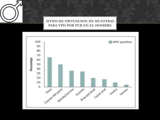 SITIOS DE OBTENCION DE MUESTRAS
PARA VPH POR PCR EN EL HOMBRE
 