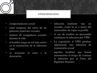 • comportamiento sexual
• edad temprana del inicio de las
primeras relaciones sexuales
• número de compañeros sexuales
durante la vida
• el hombre juega un rol muy activo
en la transmisión de la infección
viral.
• es resistente al calor y la
desecación
• infección mediante vías no
sexuales, como lo es a través del
intercambio de ropas es posible
• el uso de condón no prevendría
totalmente la infección por VPH
• La exposición al VPH produce
típicamente una infección de
transmisión sexual
• aquellos hombres que fuman
incrementan el riesgo de contraer
la infección por el Virus del
Papiloma Humano
EPIDEMIOLOGIA
 