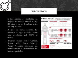 • la tasa máxima de incidencia en
mujeres se observa entre los 20 y
24 años y en los hombres entre
los 25 y 29 años
• A esto se suma además, las
úlceras ó verrugas genitales dando
una prevalencia del 0.15% al
0.18%.
• diversos países como Canadá,
Reino Unido, Países Bajos y
Países Nórdicos presentan un
incremento en la incidencia en las
lesiones genitales
EPIDEMIOLOGIA
 