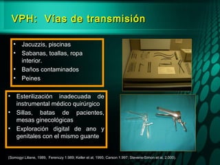VPH: Vías de transmisiónVPH: Vías de transmisión
F
R
• Jacuzzis, piscinas
• Sabanas, toallas, ropa
interior.
• Baños contaminados
• Peines
• Esterilización inadecuada de
instrumental médico quirúrgico
• Sillas, batas de pacientes,
mesas ginecológicas
• Exploración digital de ano y
genitales con el mismo guante
(Somogyi Liliane, 1989, Ferenczy 1.989; Keller et al, 1995; Carson 1.997; Stevens-Simon et al, 2.000).(Somogyi Liliane, 1989, Ferenczy 1.989; Keller et al, 1995; Carson 1.997; Stevens-Simon et al, 2.000).
 