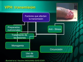 VPH: transmisiónVPH: transmisión
Burchell et al, Vaccine 24S3(2006) S3/52-S3/61
Factores que afectan
la transmisión
Preparados
nutricionales
Uso de
condón
Anti - Stress
Circuncisión
Monogamia
Tratamiento de
las lesiones
FR
 