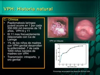 VPH: Historia naturalVPH: Historia natural
C.- Clínica:
• Papilomatosis laringea
juvenil ocurre en 1 por cada
200.000 mil menores de 18
años, VPH 6 y 11
• El 11 mas frecuentemente
relacionado con Ca de
Laringe
• 1% de los niños de madres
con VPH genital desarrollan
la enfermedad .7 de cada
1000 niños nacidos de
madres con VPH
• Transmisión: intraparto, y
oro genital
VPH en tráquea
Porcentaje acumulativo de casos de PLR en USA
 
