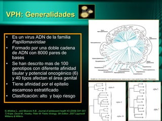 VPH: GeneralidadesVPH: Generalidades
6) Widdice L., and Moscicki A-B., Journal of adolescent health 43 (2008) S41-S51
7) Knipe, David M.; Howley, Peter M. Fields Virology, 5th Edition ,2007 Lippincott
Williams & Wilkins
• Es un virus ADN de la familia
Papillomaviridae
• Formado por una doble cadena
de ADN con 8000 pares de
bases
• Se han descrito mas de 100
genotipos con diferente afinidad
tisular y potencial oncogénico (6)
y 40 tipos afectan el área genital
• Tiene afinidad por el epitelio
escamoso estratificado
• Clasificación: alto y bajo riesgo
 
