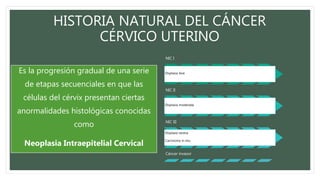 HISTORIA NATURAL DEL CÁNCER
CÉRVICO UTERINO
NIC I
Displasia leve
NIC II
Displasia moderada
NIC III
Displasia severa
Carcinoma in situ
Cáncer invasor
Es la progresión gradual de una serie
de etapas secuenciales en que las
células del cérvix presentan ciertas
anormalidades histológicas conocidas
como
Neoplasia Intraepitelial Cervical
 