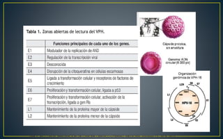 * VPH Y PICCONI M. PREVENCIÓN DE CÁNCER CÉRVICO-UTERINO. MEDICINA. Volumen 73 - Nº 6, 2013.
 