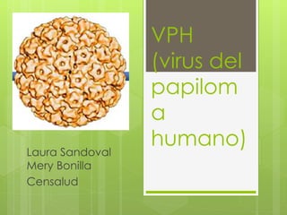 VPH 
(virus del 
papilom 
a 
humano) 
Laura Sandoval 
Mery Bonilla 
Censalud 
 