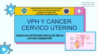 VPH Y CANCER
CERVICO UTERINO
UNIVERSIDAD CENTRAL DEL ECUADOR
FACULTAD DE CIENCIAS MEDICAS
CARRERA DE MEDICINA
CÁTEDRA DE GINECOLOGIA
KAROLINA ESTEFANIA RECALDE MEJIA
OCTAVO SEMESTRE
 