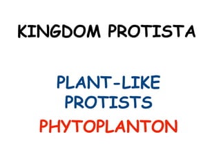 KINGDOM PROTISTA
PLANT-LIKE
PROTISTS
PHYTOPLANTON
 