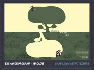 EXCHANGE PROGRAM - MACAQUE SHAPE, SYMMETRY, TEXTURE
 