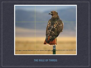 THE RULE OF THIRDS
 
